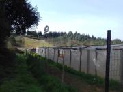 Terreno, Abrigada e Cabanas de Torres, Alenquer | BPI...