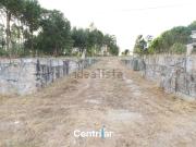 Terreno, Abrunhosa a Velha