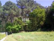 Terreno T1, Afife, Viana do Castelo | BPI Expresso...