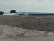 Terreno Agrario Lébor Bajo, Totana