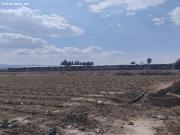 Terreno Agrario Lébor, Totana