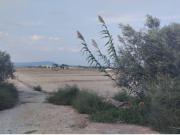 Terreno Agrario Raiguero Alto, Totana