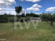 Terreno agrcola com Casa de arrumos para reconstruo |...