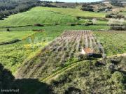 Terreno agrcola de 12040m2 com poo e casa de apoio para...