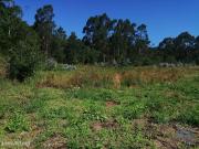 Terreno para construo em So romo de neiva de 8800,00 m2