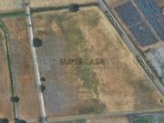 Terreno agrícola 3 hectares na Jardia/Montijo