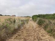 Terreno Agrícola Assafora Sintra