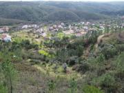 Terreno agrícola com 2 poços Cerejeira