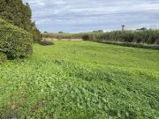Terreno Agrícola em