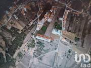 Terreno Agrícola em Aljubarrota