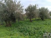 Terreno Agrícola em Ameixial