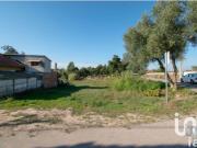 Terreno Agrícola em Amor