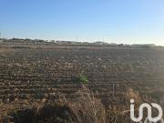 Terreno Agrícola em Atouguia da Baleia