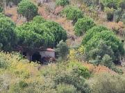 Terreno Agrícola em Azueira e Sobral da Abelheira Terreno Agrícola em Azueira e Sobral da Abelheira