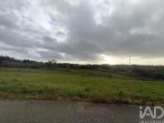 Terreno Agrícola em Cela