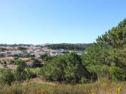 Terreno agrícola em Fonte Grada