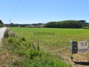 Terreno Agrícola em Leiria de 56.000 m2 Campos do LIs