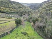 Terreno Agrícola em Lousã e Vilarinho