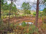 Terreno Agrícola em Mexilhoeira Grande