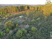 Terreno Agrícola em Paranhos