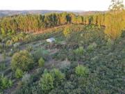 Terreno Agrícola em Paranhos