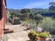 Terreno Agrícola em Pedrógão Pequeno