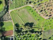 Terreno Agrícola em Podentes