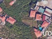 Terreno Agrícola em São Martinho