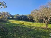 Terreno Agrícola em Santa Bárbara de Nexe