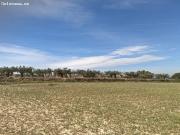 TERRENO AGRICOLA EN ARBOÇ