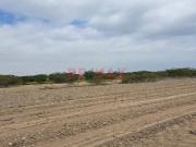 Se Vende Predio Rural “La Ponderosa” Distrito De “El Carmen”