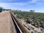 Terreno Agrícola en Venta en Lébor Totana