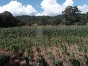 Terreno agrícola en venta en San José Boqui, Jocotitlán,...