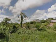 Terreno Agrícola Fértil De 73 Ha. En Iquitos – Ideal...