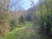 Terreno Agrícola São João das Lampas