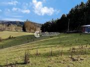 TERRENO AGRICOLA SECTOR CUNAMO