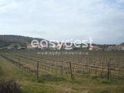 Terreno agrícola situado no douro vinhateiro Vila Nova...