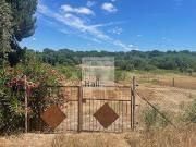 Terreno Agrícola vedado em Azervadinha, Coruche