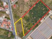 Terreno Agricolo 11000mq