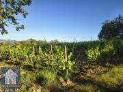 Terreno Agricolo 120000mq