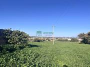 Terreno Agricolo 12000mq