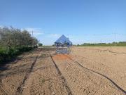 Terreno Agricolo 13000mq