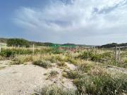 Terreno Agricolo 16000mq