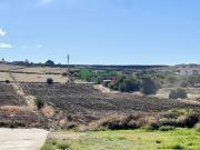 Terreno Agricolo 22000mq