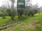 Terreno Agricolo 2200mq