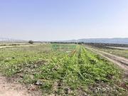 Terreno Agricolo 28880mq