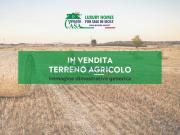 Terreno Agricolo 3990mq