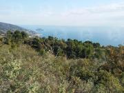 Terreno Agricolo 50000mq