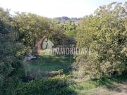 Terreno Agricolo 5170mq