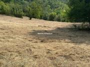 Terreno Agricolo 6000mq